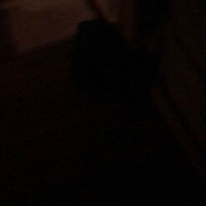 Meet your Posher, Wendy